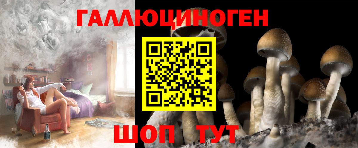 Псилоцибиновые грибы Psilocybine cubensis Скопин