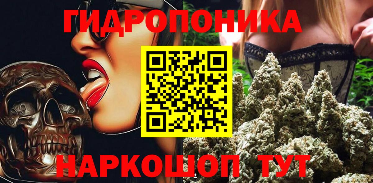 Канабис сатива  Шишки марихуана план  Вход с VPN  Конопля марихуана  Скопин  Канабис Bruce Banner 